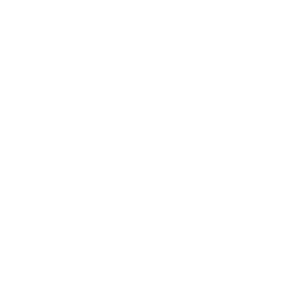 logo-lostllom